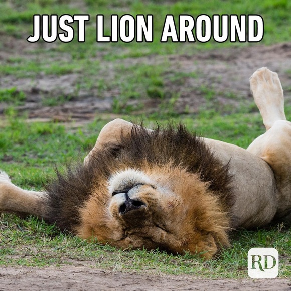 GAME CLOSED PLS LIKE NEW LISTING⬅️TY!😃 - Picture 7 of 16